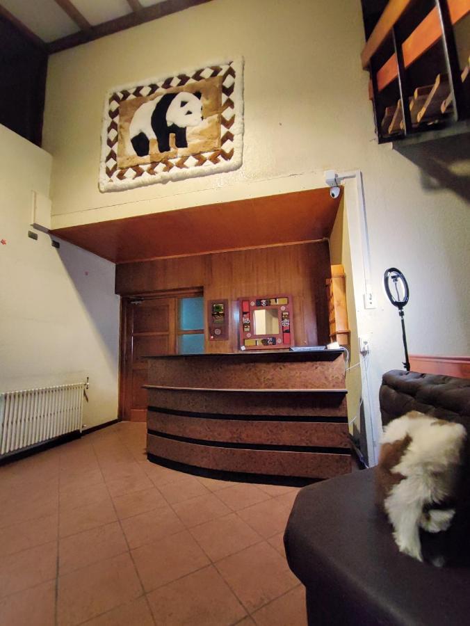Dallas Housen Bed & Breakfast Osorno Luaran gambar